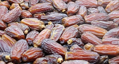 Birleşik Arap Emirlikleri, ramazan ayında depremzedelere 200 ton hurma gönderecek