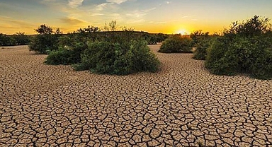 BM Genel Sekreteri Guterres İklim alanında son hız harekete geçmemiz gerekiyor