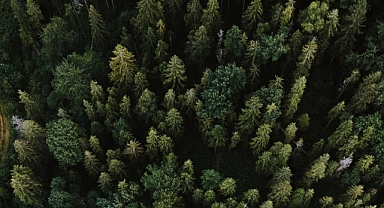 CFO'nun Gelişen Rolü Ne? Finans Liderleri ÇSY'de Nasıl Liderlik Ediyor?