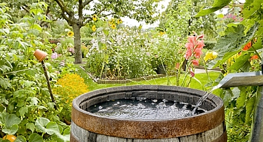 ChatGPT'ye sorduk: Yağmur suyu hasadı nedir? Ne işe yarar?