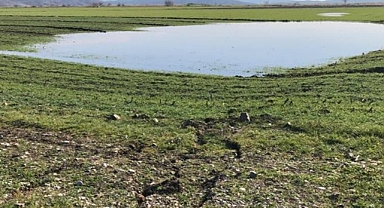 Deprem bölgesindeki kırıklar üzerinde yeni su kaynakları ortaya çıktı