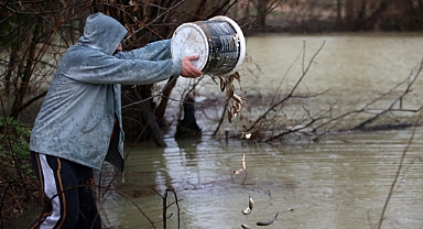 Depremzedeler karaya vuran balıkların yaşaması için seferber oldu