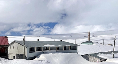 Doğu Anadolu'da kar yağışı etkili oluyor