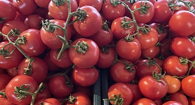 Domates ihracatına kısıtlama getirildi