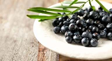 Dünyanın En Yüksek Antioksidan Kaynağı Olan Acai Üzümü