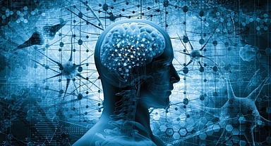 Ekran bağımlılığı ergen bireylerde beyin yapısında değişime yol açıyor