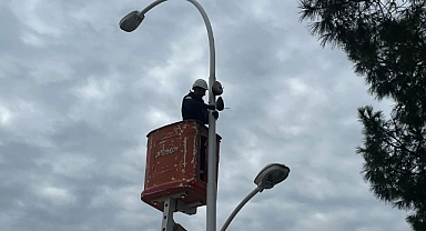 SOKAK LAMBALARI KUŞLARIN YENİ YUVASI OLDU