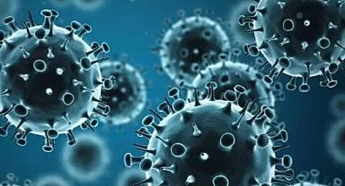 H1N1 Virüsü Nedir? Nasıl Bulaşır?