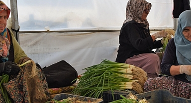 Havaların mevsim normalinin üzerinde seyretmesi kışlık sebzelere talebi azalttı