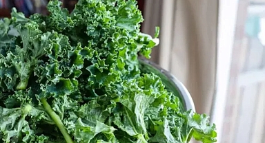 Hollywood yıldızlarının sofralarından eksik etmediği kale bitkisinin mucizesi