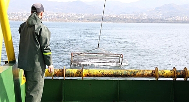 İzmit Körfezi'nin biyoçeşitliliği kayıt altına alınıyor
