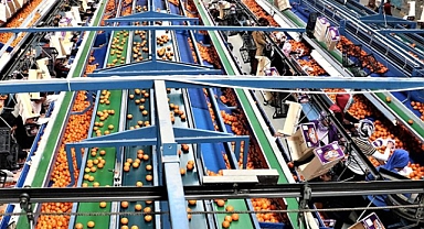 Japon ve Türk gıdacılarının 4 yıllık hasreti bitti