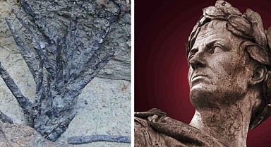 Julius Caesar’ın Hakkında Yazdığı Günümüz Dikenli Tellerinin Atası Tahta Kazıklar Bulundu
