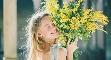 Kadınlar Günü Sembolü Mimoza Çiçeğinin Bakımı