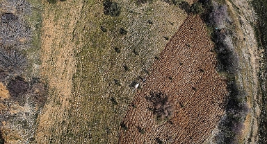Kahramanmaraş'ta bazı çiftçiler ve tarım işçileri tarlalarda çalışmaya başladı