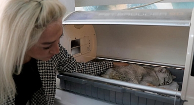 Kahramanmaraş'ta enkaz altında kalan kediye depremden 49 gün sonra ulaşıldı