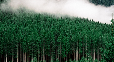 Karbon ayak izini 5 bin kat azaltıyor