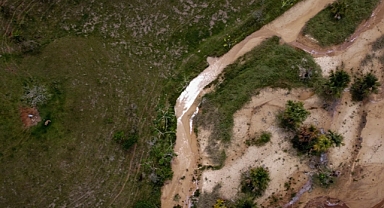 Kolombiya, 2026'ya kadar 750 bin hektar araziyi yeniden ağaçlandırmayı planlıyor