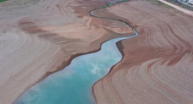 Kuraklıktan etkilenen Narlı Ovası tohum desteğiyle yeşerecek