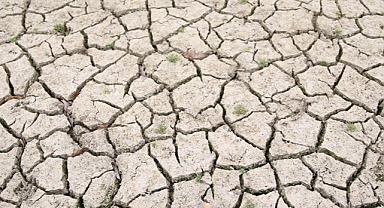 Marmara Belediyeler Birliği