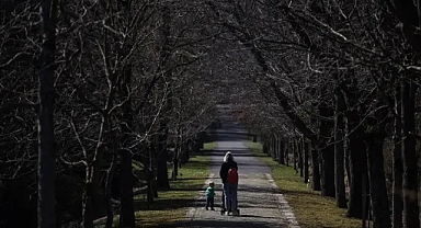 Marmara ormanlarının göç haritası