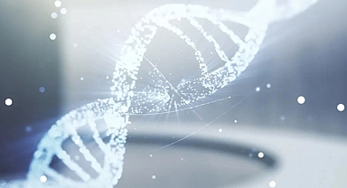 Ölmüş Eski ABD Başkanları Uzaya Gönderiliyor