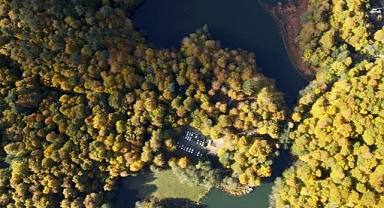 Orman zararlılarına karşı 4 koldan mücadele