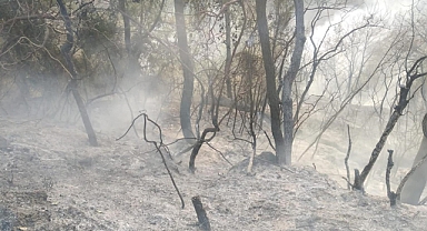 Osmaniye'nin Kadirli ilçesinde ormanlık alanda çıkan yangın kontrol altına alındı