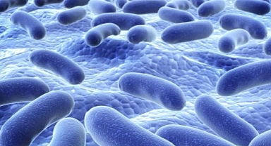 Probiyotikler bağırsak sağlığınıza zarar verebilir! 