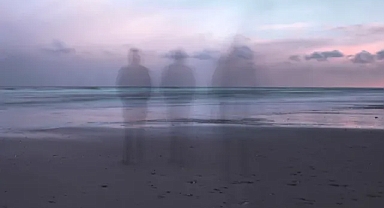 Sağ Kalanın Suçluluğu Nedir?