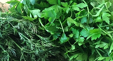 Sahurda maydanoz ve dereotu ağız kokusunu önlüyor, tok tutuyor…