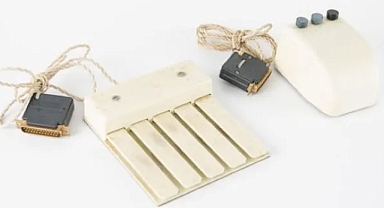 Steve Jobs'un 'esin kaynağı' 179 bin dolara satıldı