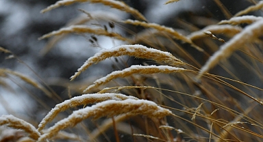 Şubatta en düşük sıcaklık Erzurum'da, en yüksek ise Kozan'da ölçüldü