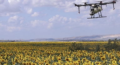 Tarladaki salgını mobil uygulama sayesinde önlediler