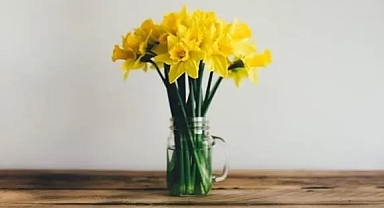 Travma Sonrası Stes Bozukluğuyla Mücadele Etmek