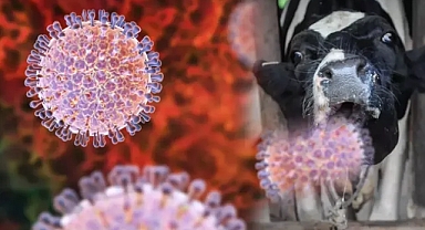 Uzmanlardan rahatlatan açıklama...