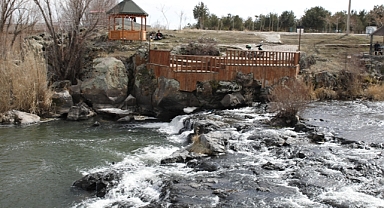 Van Gölü'ndeki çekilme inci kefalinin göç yolculuğunu uzatacak