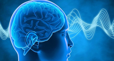 Alzheimer'la ilişkili olduğu düşünülen 10 bağırsak bakterisi 