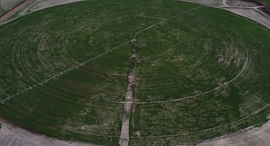 Anadolu Tarım İşletmesinde modern tekniklerle hem tasarruf hem verim artışı sağlanıyor