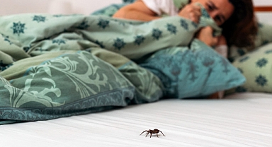 Araknofobi nedir? Araknofobi nasıl yenilir?