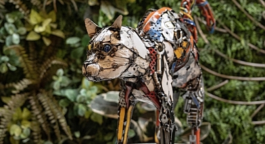 Atıklardan yapılan Van kedisi Pişo ile 