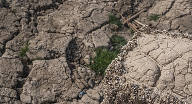 Avrupa'ya yaz için kuraklık uyarısı