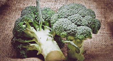 Bağırsakları Koruyup Hastalıkları Engelleyen Besin