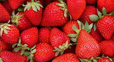 Baharın habercisi çilekle yapılan nefis tatlı tarifleri...