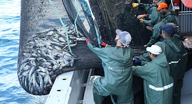 Balıkçılar bu sezon 