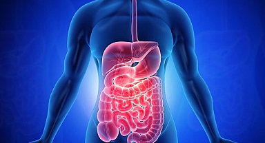 Bayramda sindirim sisteminizi yormayın