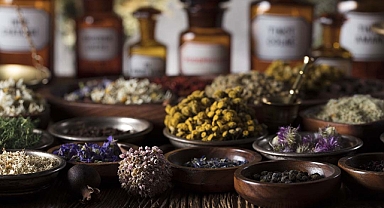 BAZI BİTKİSEL ÜRÜNLER TEDAVİYE ZARAR VERİYOR