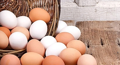 Bazı Yumurtalar Beyazken, Bazıları Neden Kahverengidir?