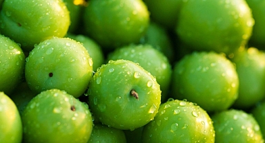 Bilmeden sağlığımızı riske atıyoruz...Erik yedikten sonra sakın bu hatayı yapmayın!