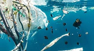 Büyük Pasifik’in ortasındaki çöp alanlarında deniz canlısı türleri gelişmeye başladı